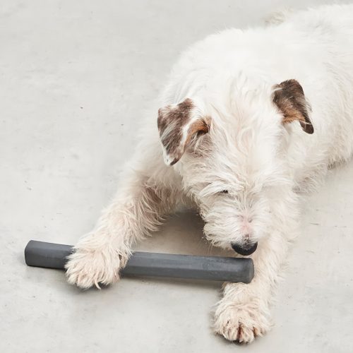 Ramo Minimalist Dog Toy - Gessato Design Store