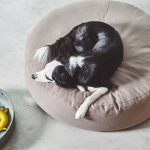 Stella Pouffe - Gessato Design Store