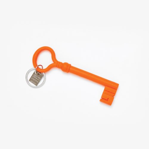 Skeleton Key Keychain - Gessato Design Store