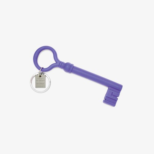 Skeleton Key Keychain - Gessato Design Store