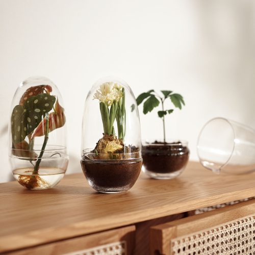 Grow Greenhouse, Glass Terrarium with Lid - Gessato Design Store