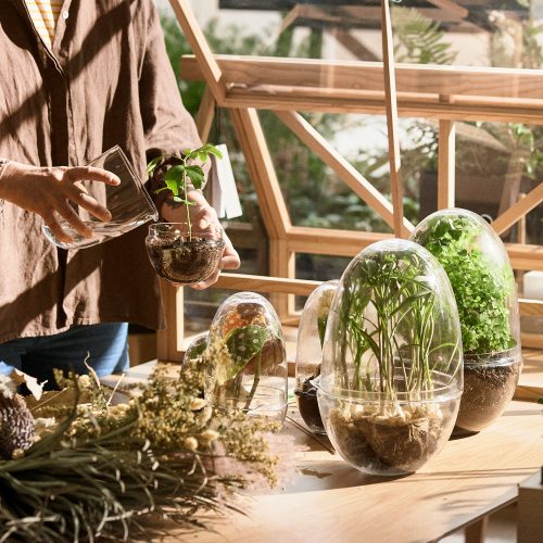 Grow Greenhouse, Glass Terrarium with Lid - Gessato Design Store