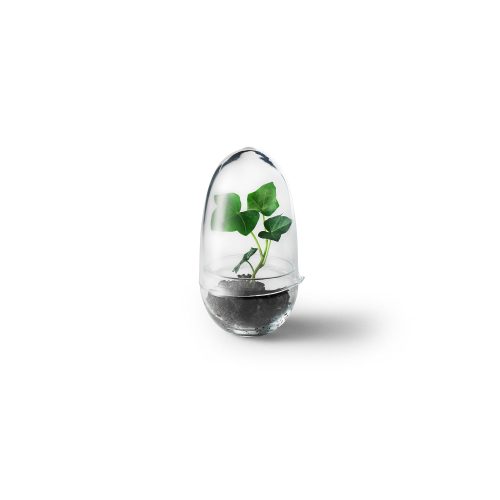 Grow Greenhouse, Glass Terrarium with Lid - Gessato Design Store