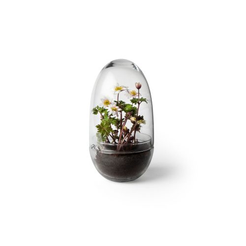 Grow Greenhouse, Glass Terrarium with Lid - Gessato Design Store