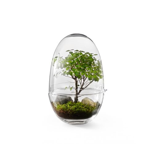 Grow Greenhouse, Glass Terrarium with Lid - Gessato Design Store