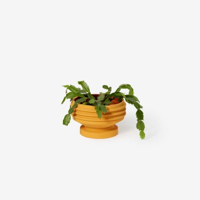 Strata Ceramic Planters - Gessato Design Store