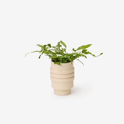Strata Ceramic Planters - Gessato Design Store