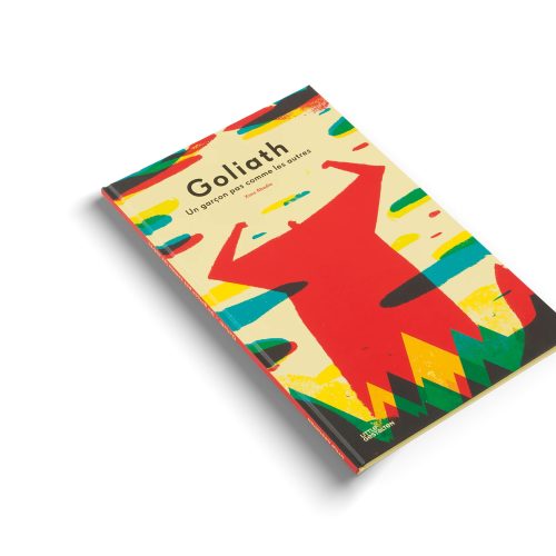 Goliath  The Boy Who Was Different - Gessato Design Store