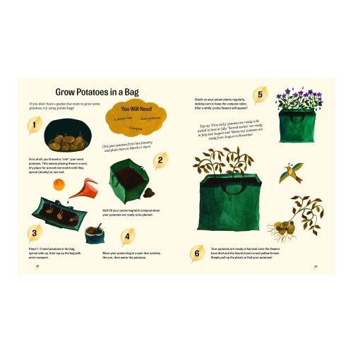 Little Green Fingers. Easy Peasy Gardening Activities - Gessato Design Store