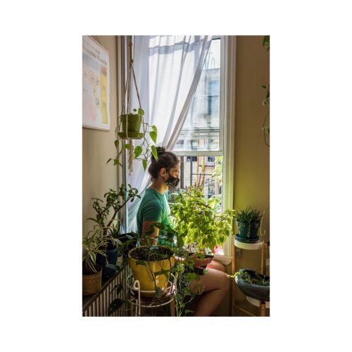 Urban Farmers The Now (and How) of Growing Food in the City - Gessato Design Store