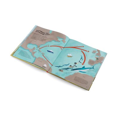 Whatever the Weather - Gessato Design Store
