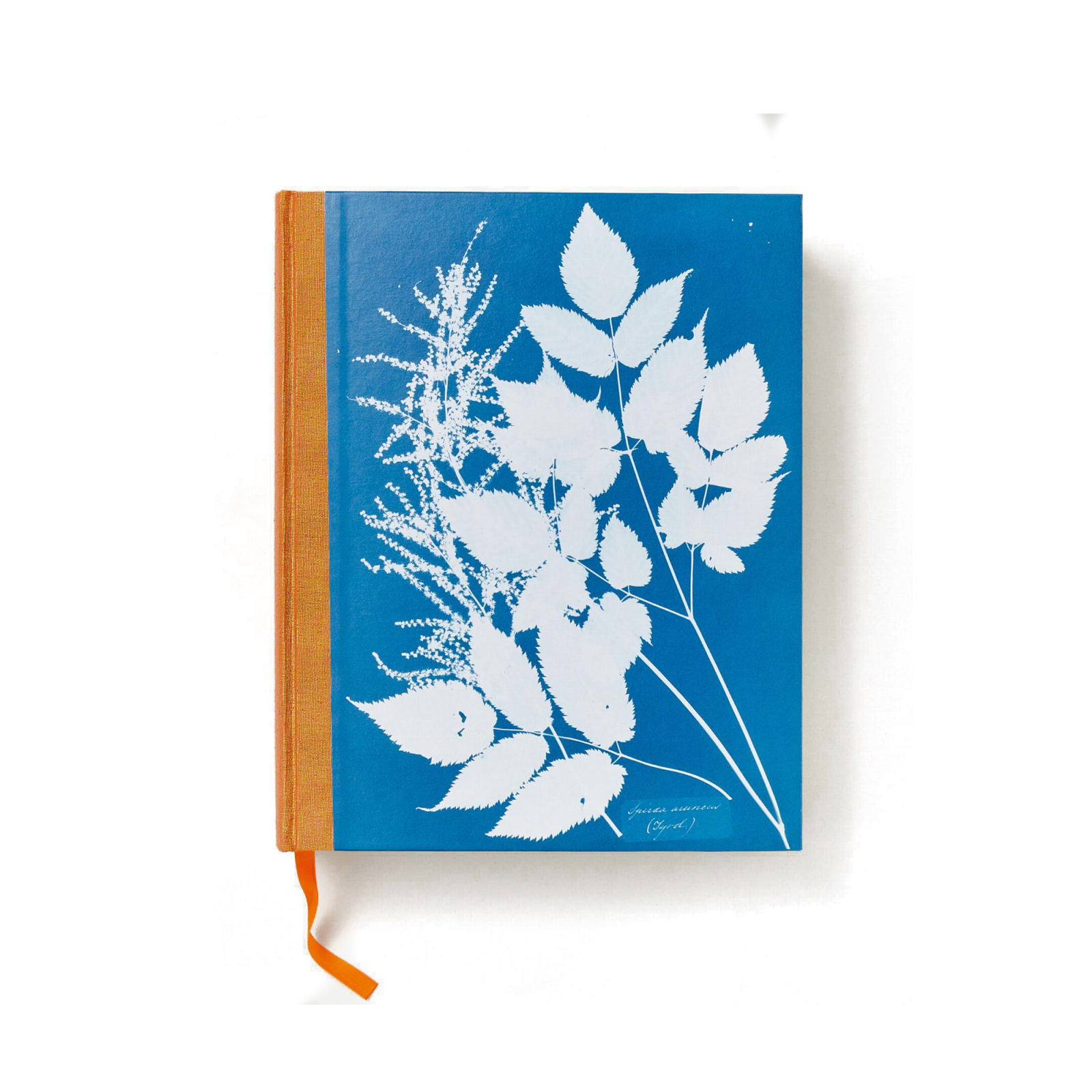 Anna Atkins. Cyanotypes - Gessato Design Store