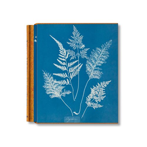 Anna Atkins. Cyanotypes - Gessato Design Store