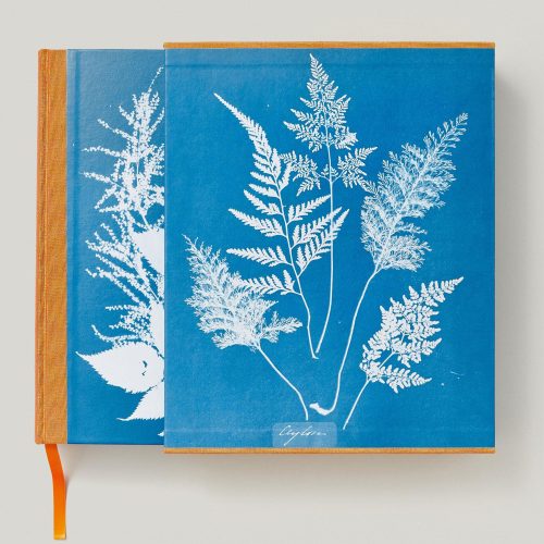 Anna Atkins. Cyanotypes - Gessato Design Store