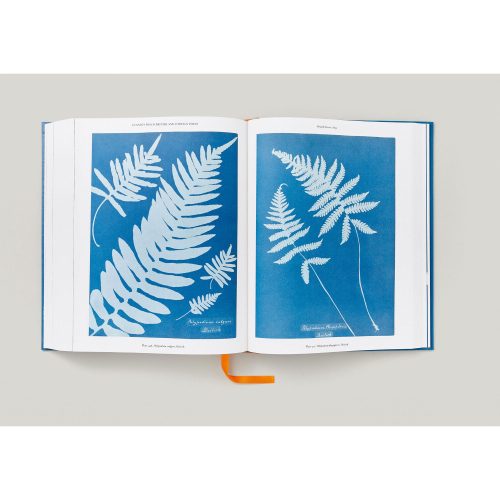 Anna Atkins. Cyanotypes - Gessato Design Store