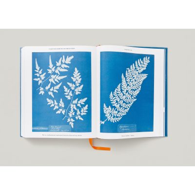 Anna Atkins. Cyanotypes - Gessato Design Store
