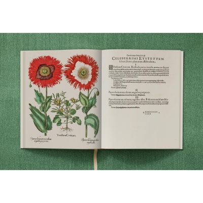 Basilius Besler. The Garden at Eichstätt - Gessato Design Store