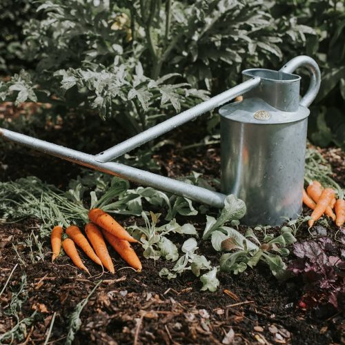 The Warley, Two Gallon Galvanized Watering Can - Gessato Design Store