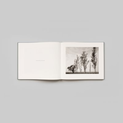 Los Angeles Spring - Gessato Design Store