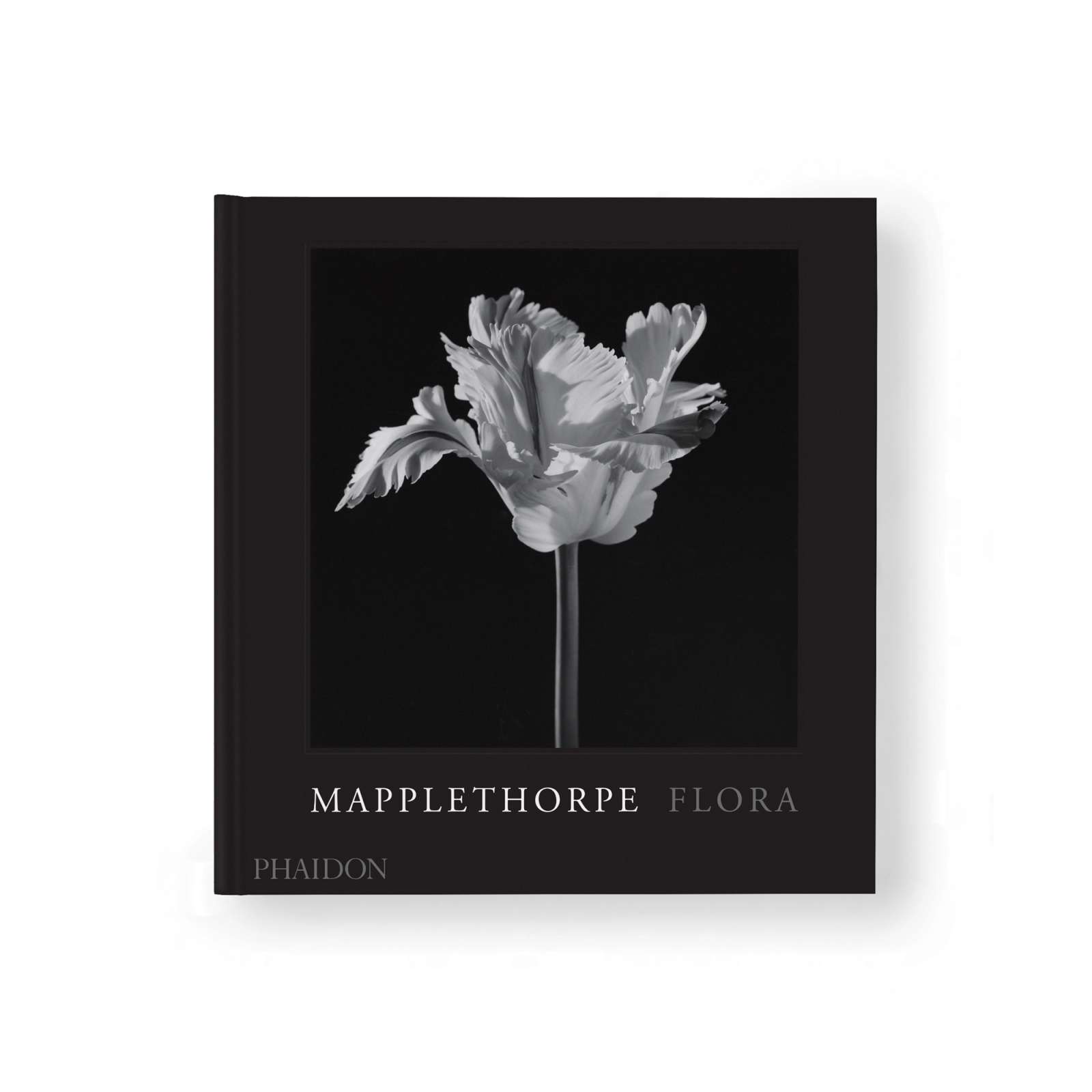 Mapplethorpe Flora: The Complete Flowers - Gessato Design Store