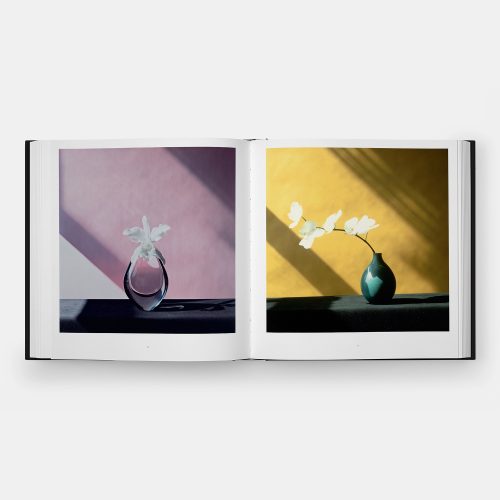 Mapplethorpe Flora: The Complete Flowers - Gessato Design Store