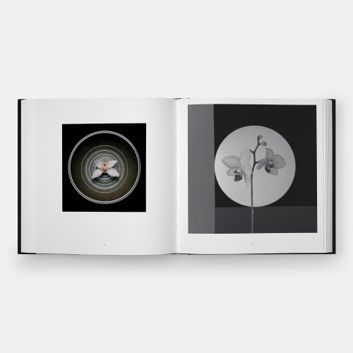 Mapplethorpe Flora: The Complete Flowers - Gessato Design Store