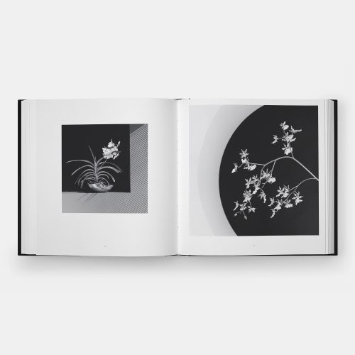 Mapplethorpe Flora: The Complete Flowers - Gessato Design Store