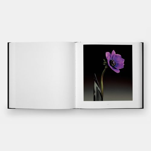 Mapplethorpe Flora: The Complete Flowers - Gessato Design Store