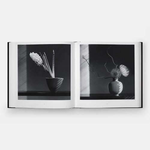 Mapplethorpe Flora: The Complete Flowers - Gessato Design Store