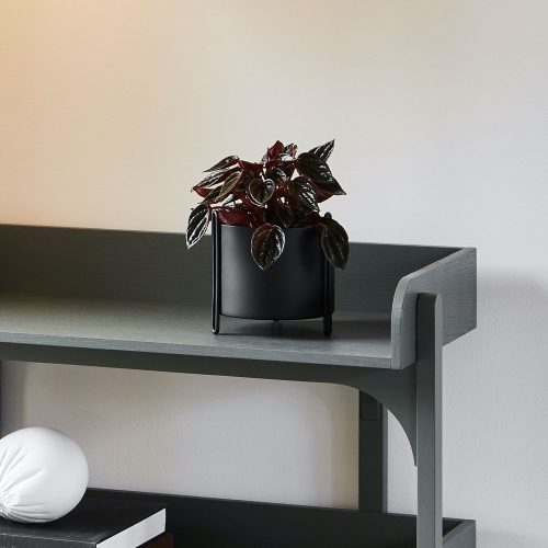 Pidestall Planter Small - Gessato Design Store