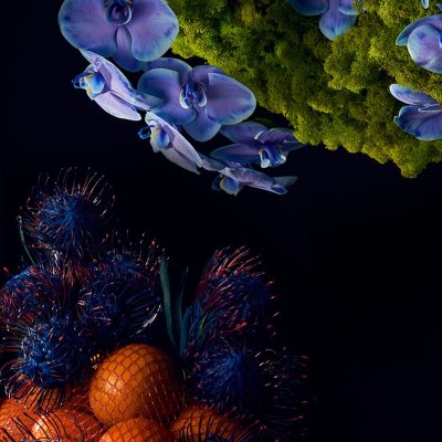 Cedar Eau de Parfum, TGC908 - Gessato Design Store