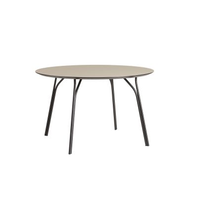 Tree Dining Table - Gessato Design Store