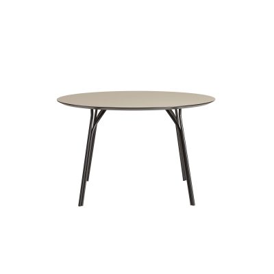 Tree Dining Table - Gessato Design Store