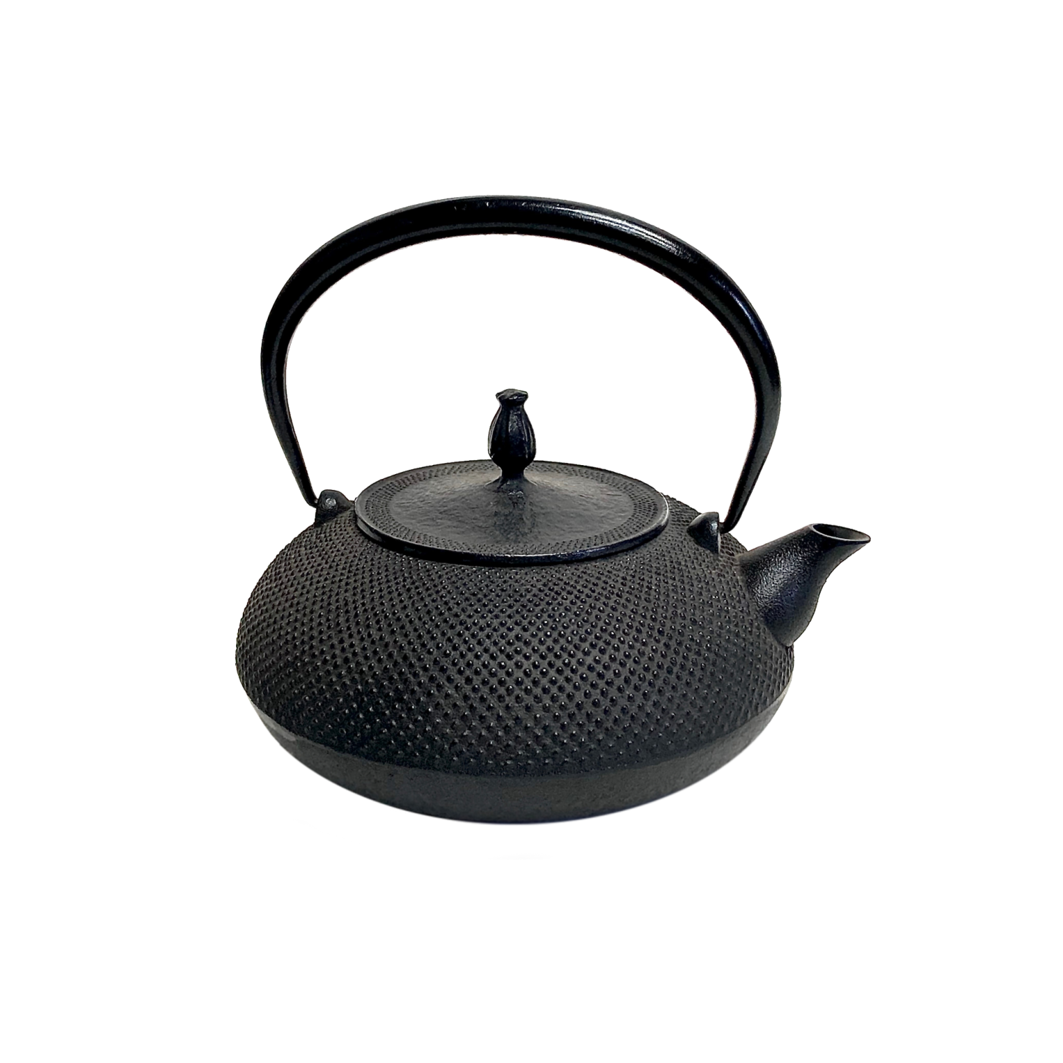 Hiramaru Arare Nambu Tekki Iron Kettle - Gessato Design Store