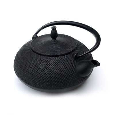 Hiramaru Arare Nambu Tekki Iron Kettle - Gessato Design Store