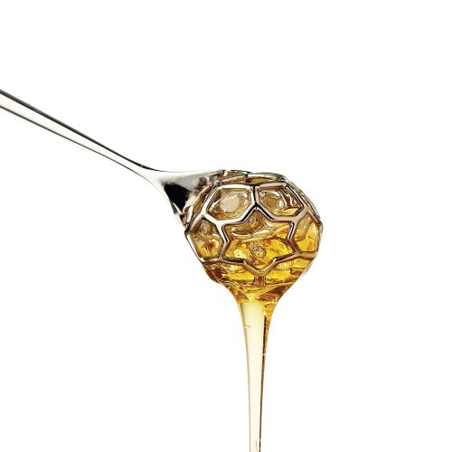 Acacia Honey Dipper - Gessato Design Store