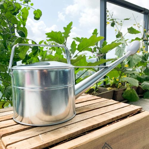 Onoe Galvanized Watering Can - Gessato Design Store