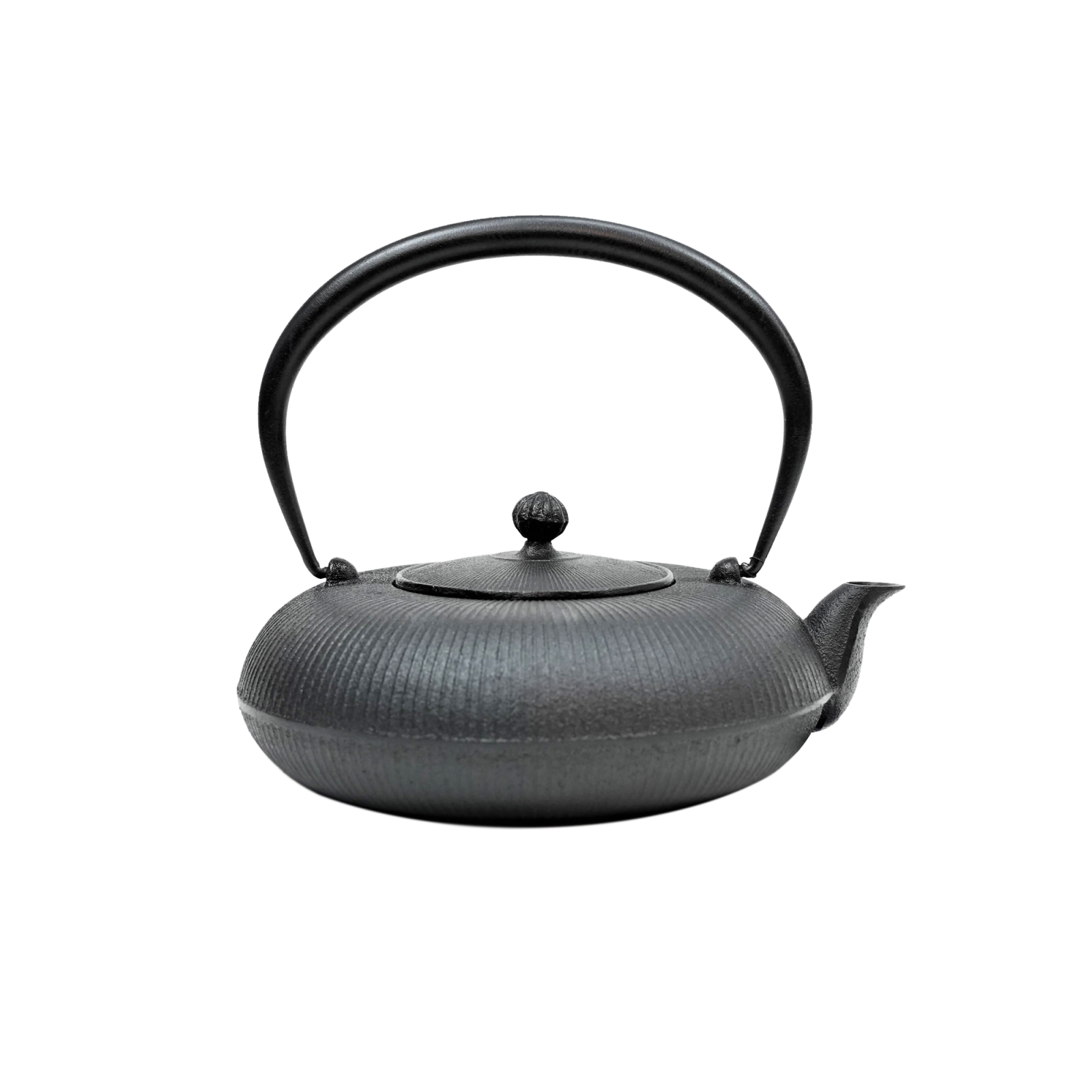 Standing Nambu Tekki Iron Kettle - Gessato Design Store