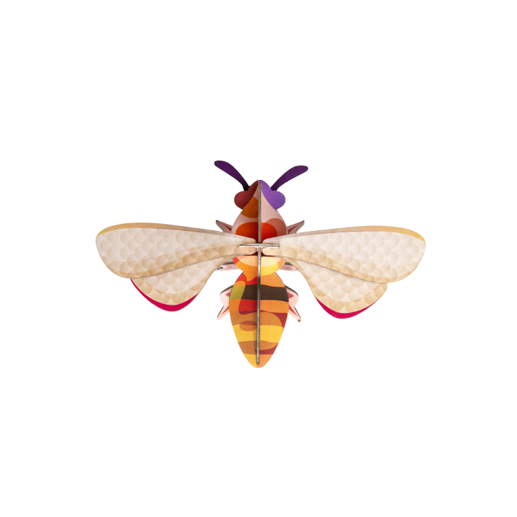 Honey Bee