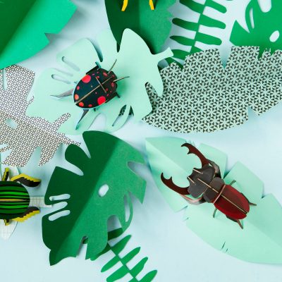 Stag Beetle - Gessato Design Store