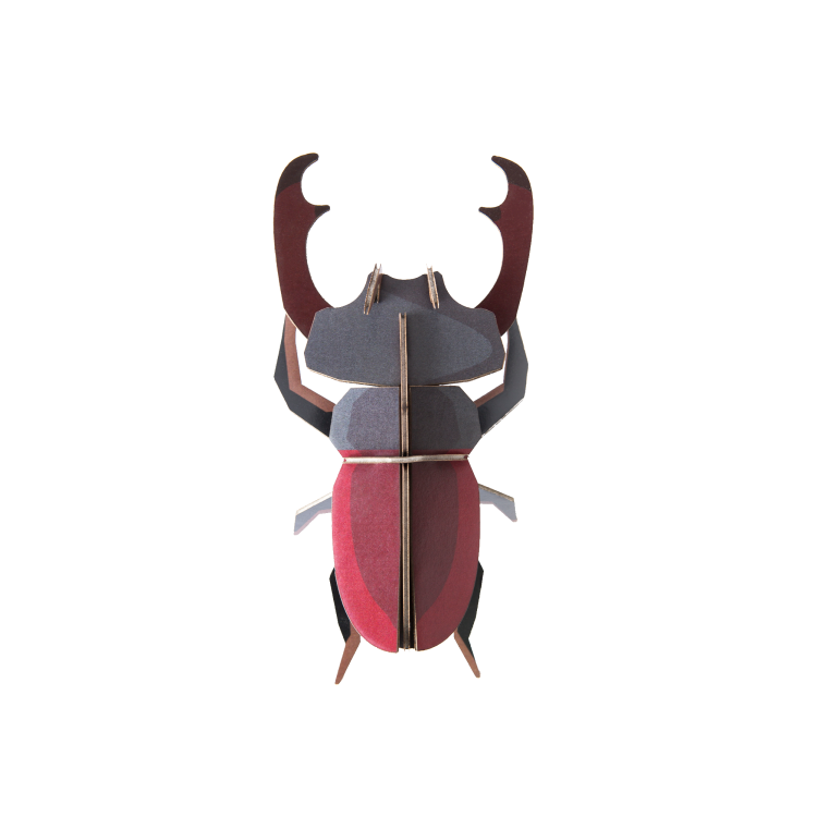 Stag Beetle