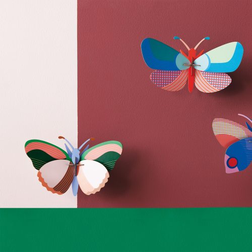 Sycamore Butterfly - Gessato Design Store