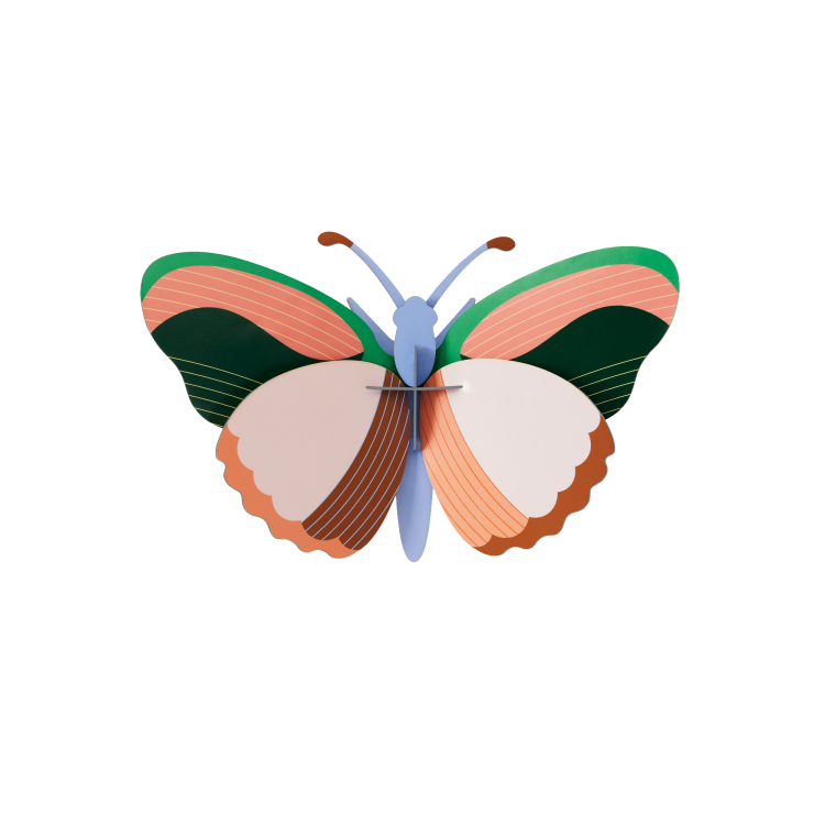 Sycamore Butterfly