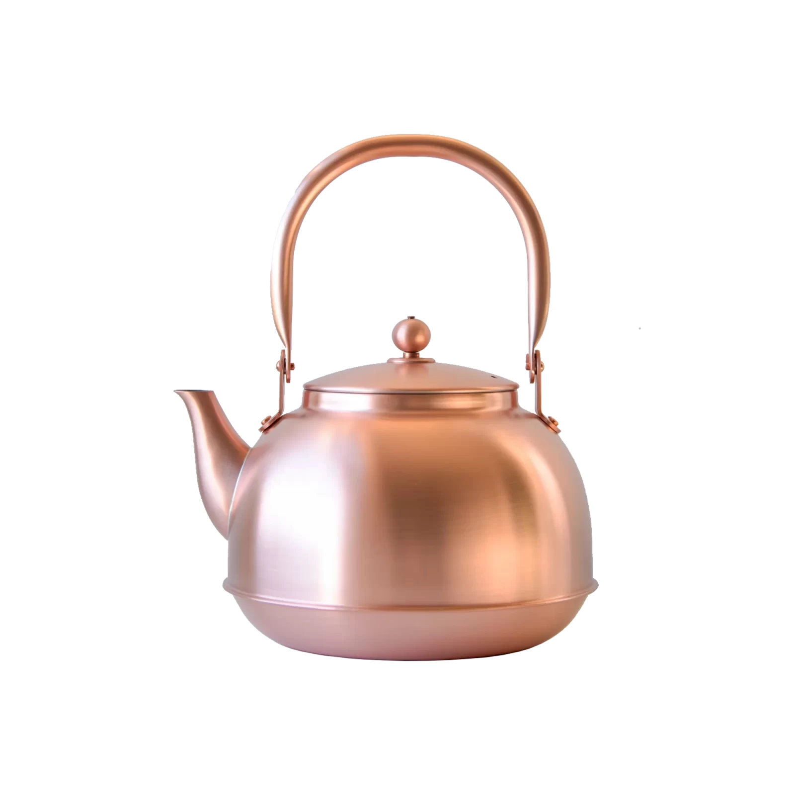 Copper Tea Kettle - Gessato Design Store