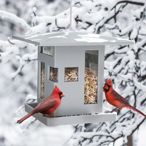 Bird Cafe Modern Bird Feeder - Gessato Design Store