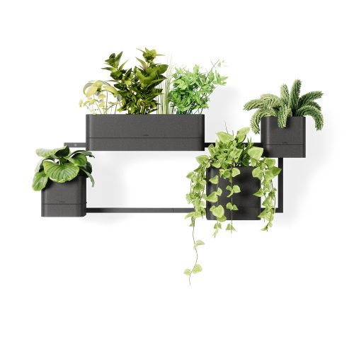 Cubiko Wall Planter - Gessato Design Store