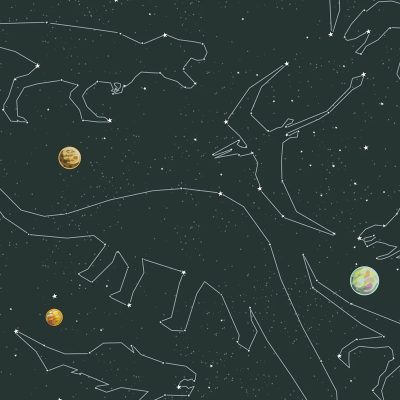 Dinostar - Gessato Design Store