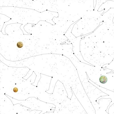 Dinostar - Gessato Design Store