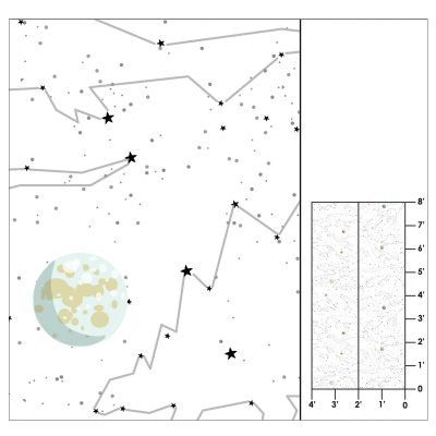 Dinostar - Gessato Design Store