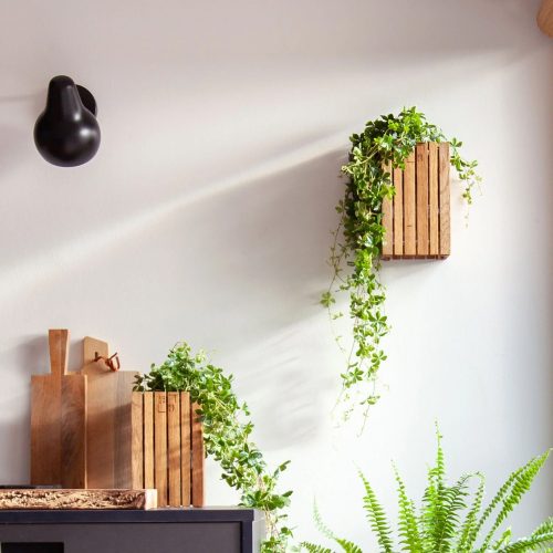 Squarely GrowSMALL Planter - Gessato Design Store